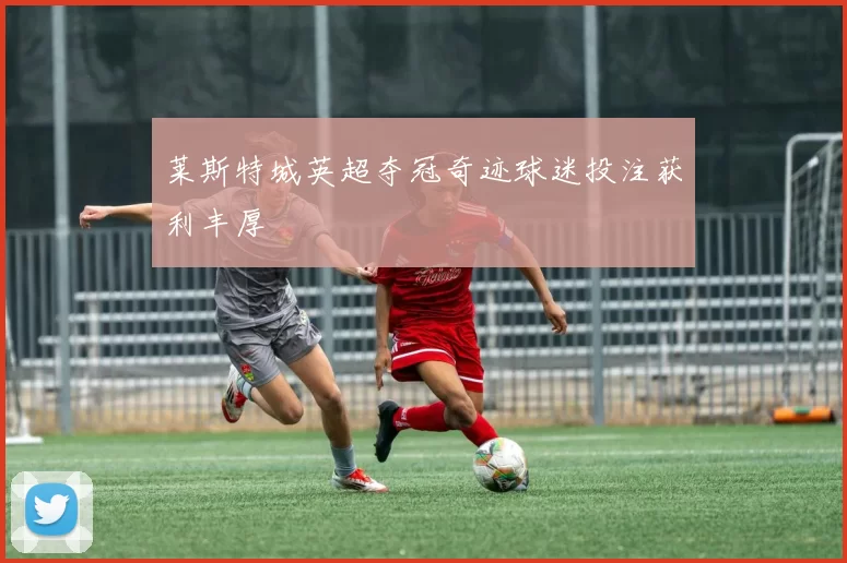 莱斯特城英超夺冠奇迹球迷投注获利丰厚