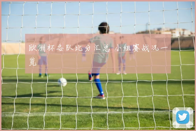 欧洲杯各队比分汇总 小组赛战况一览