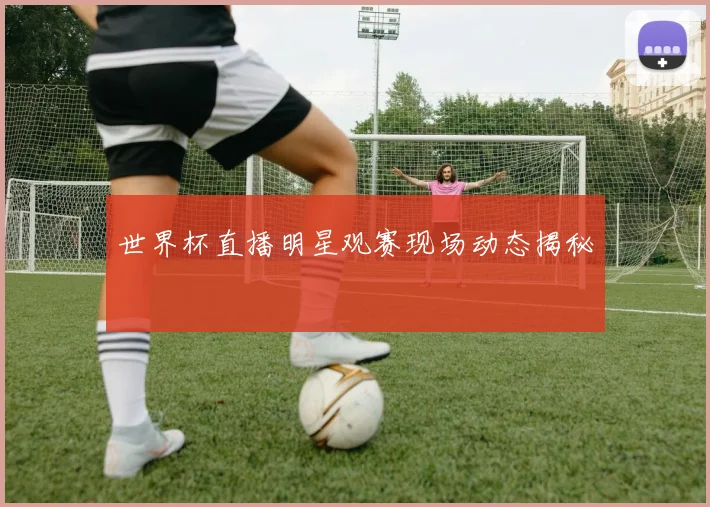 世界杯直播明星观赛现场动态揭秘